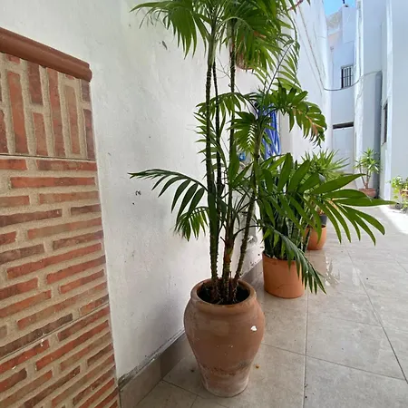 Casa Calle Vejer de la Frontera Zewnętrze zdjęcie