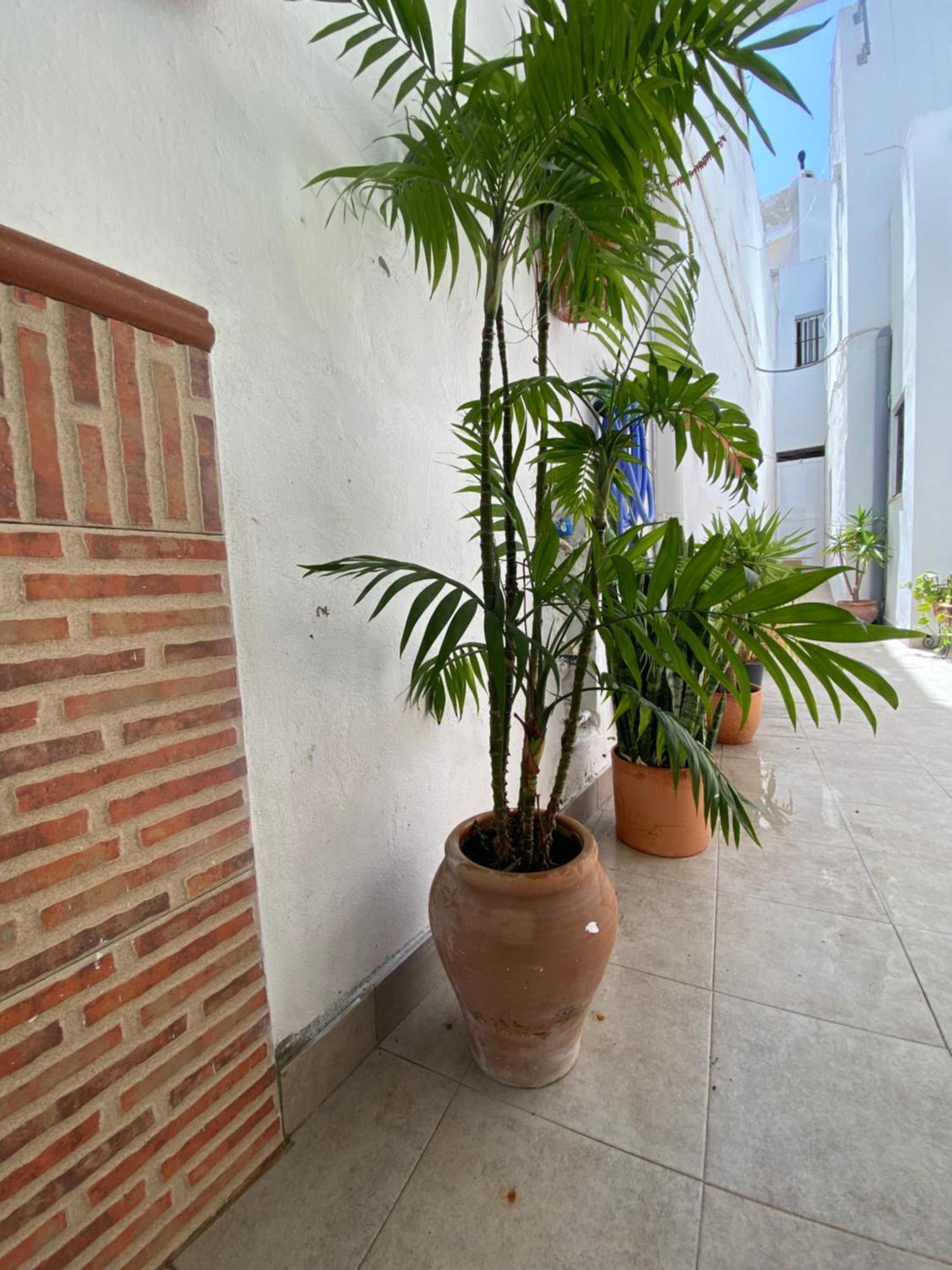 Holiday home Casa Calle Vejer de la Frontera